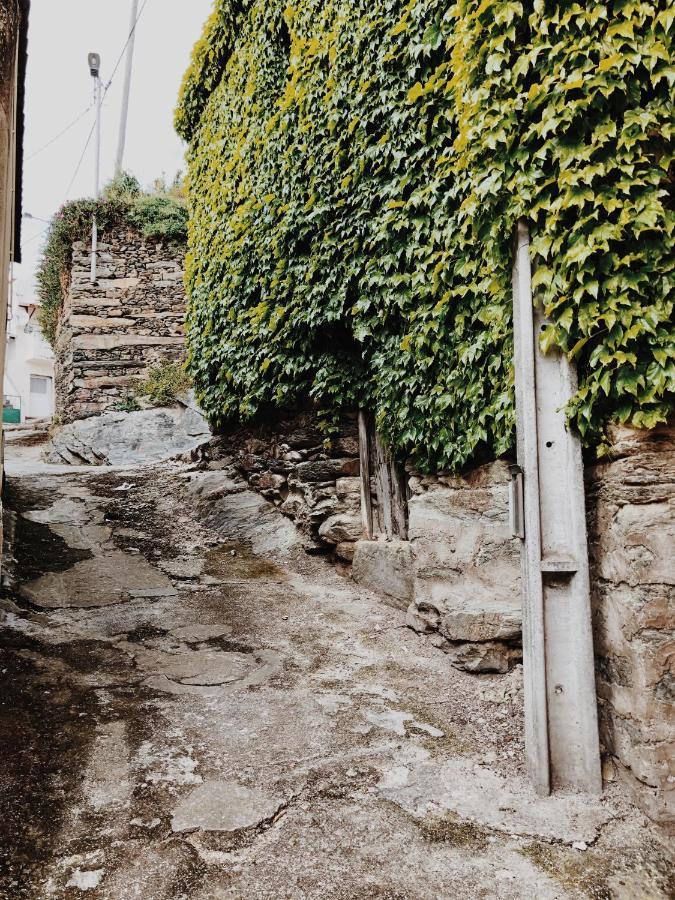 알리조 Casa Do Douro 게스트하우스 외부 사진